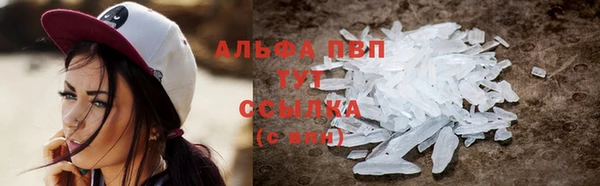 скорость Бородино