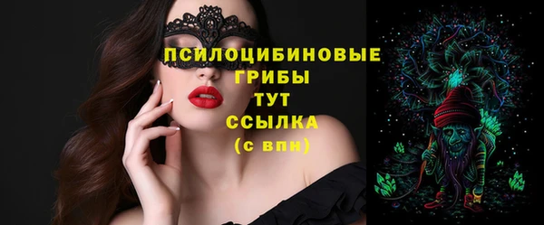 гашик Бронницы
