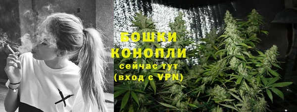 гашик Бронницы