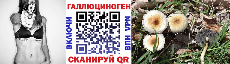 как найти закладки  Демидов  Псилоцибиновые грибы мухоморы 